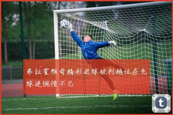 弗拉霍维奇精彩进球被判越位在先球迷惋惜不已
