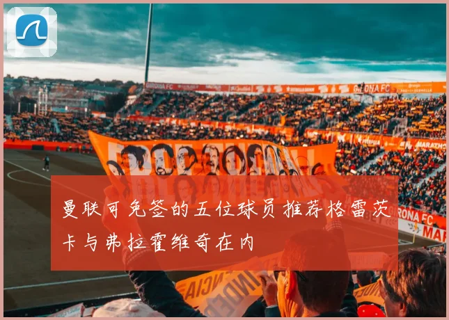 曼联可免签的五位球员推荐格雷茨卡与弗拉霍维奇在内